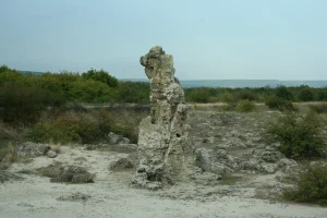 Stone Forest