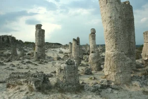 Stone Forest