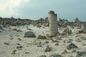 Stone Forest