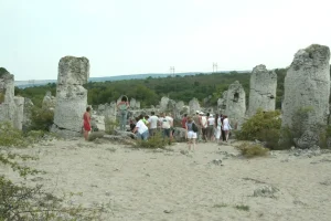 Stone Forest