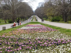 The Sea Garden