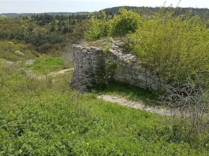 Fortress of Petrich Kale