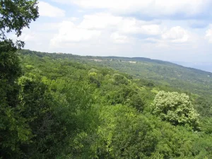 Golden Sands Nature Park