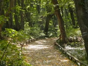 Golden Sands Nature Park