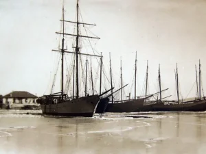 Harbour frozen